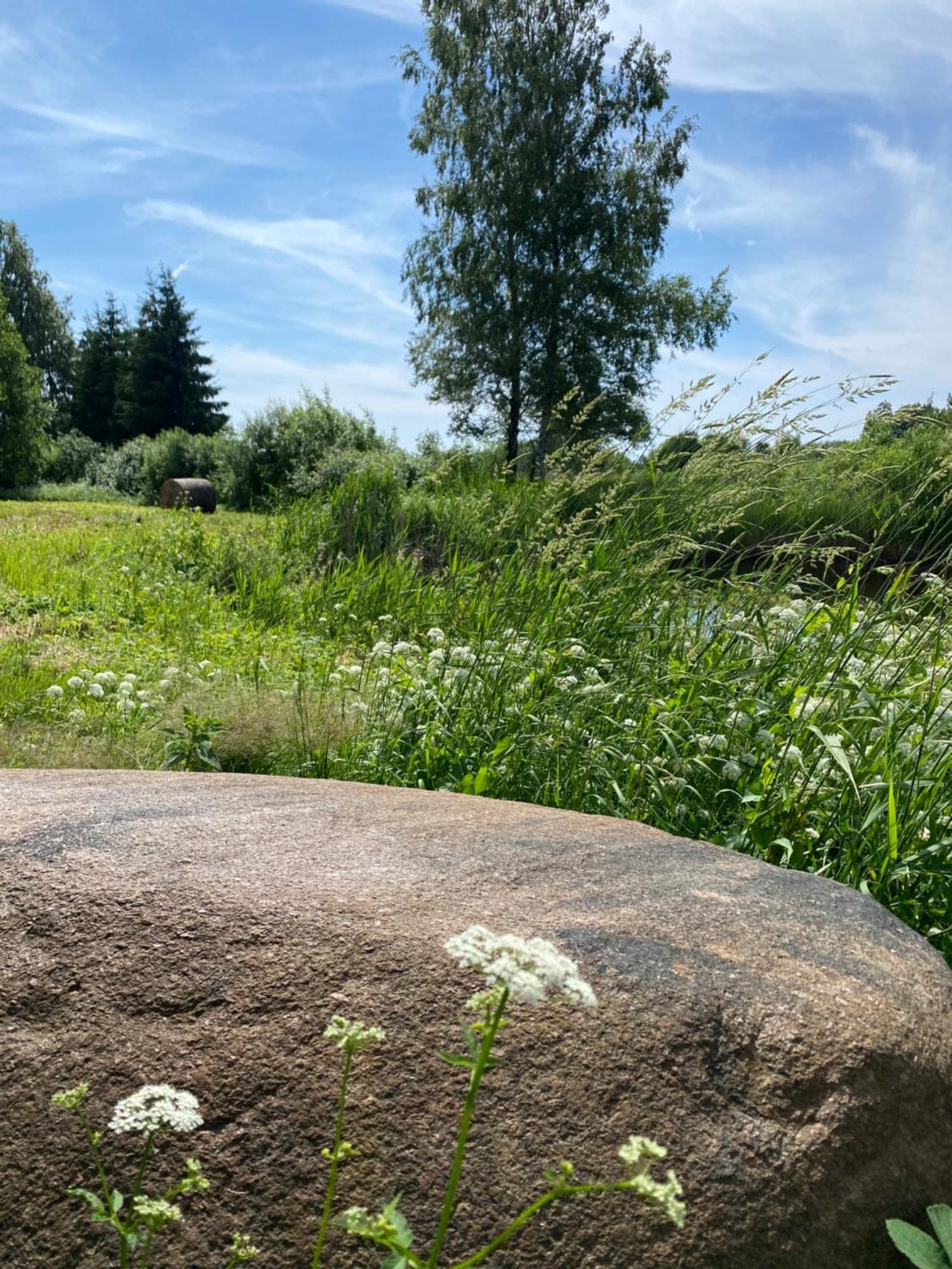 Suurkivi Nature Escape ฮาเดเมสเต ภายนอก รูปภาพ